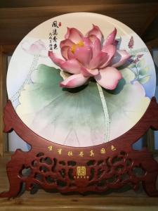 手绘荷花系列